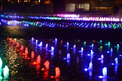 DSC_0715 (Large).JPG